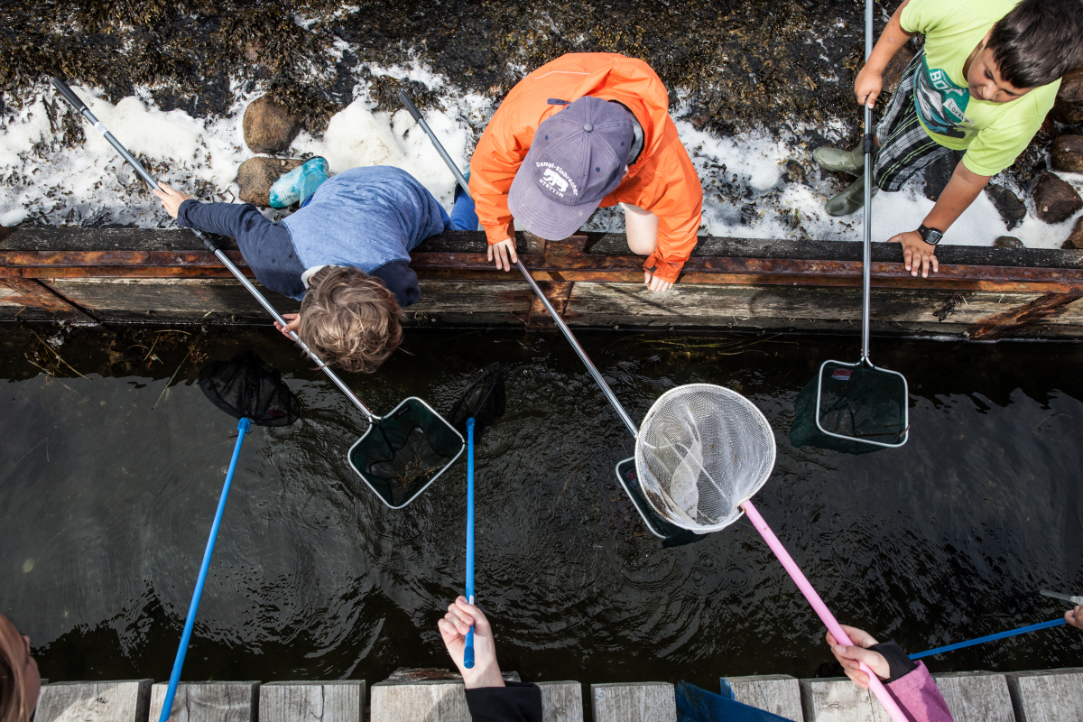 Mit dem Kescher auf der Jagd Mit dem Kescher auf der Jagd