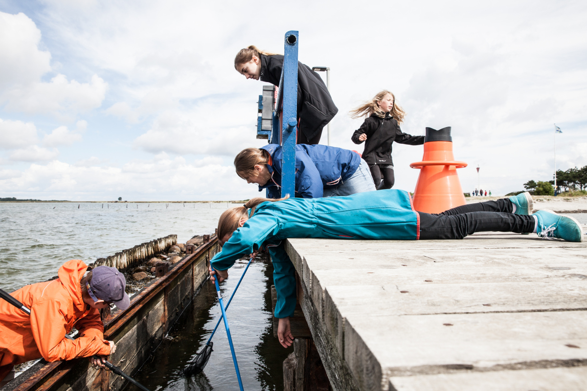 Auf dem Steg im Hafen der Lotseninsel Auf dem Steg im Hafen der Lotseninsel