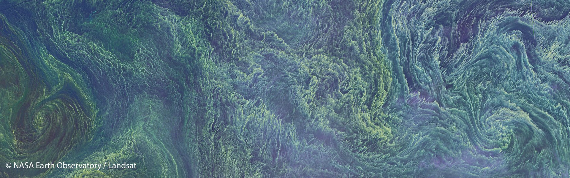 Central Baltic Sea Algae Bloom