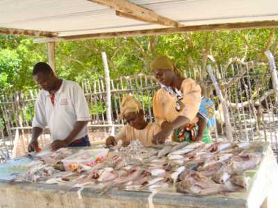 Preparation of fish for the Slow fish event in Italy