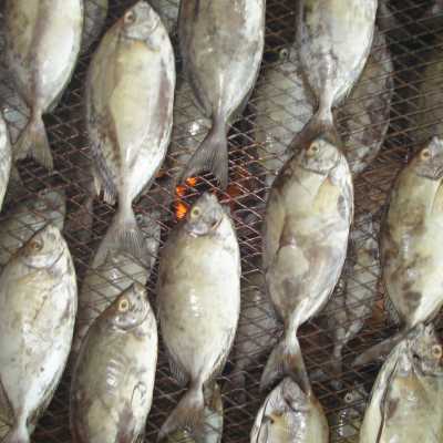 Kenia: Verbesserte Techniken zur Fischkonservierung