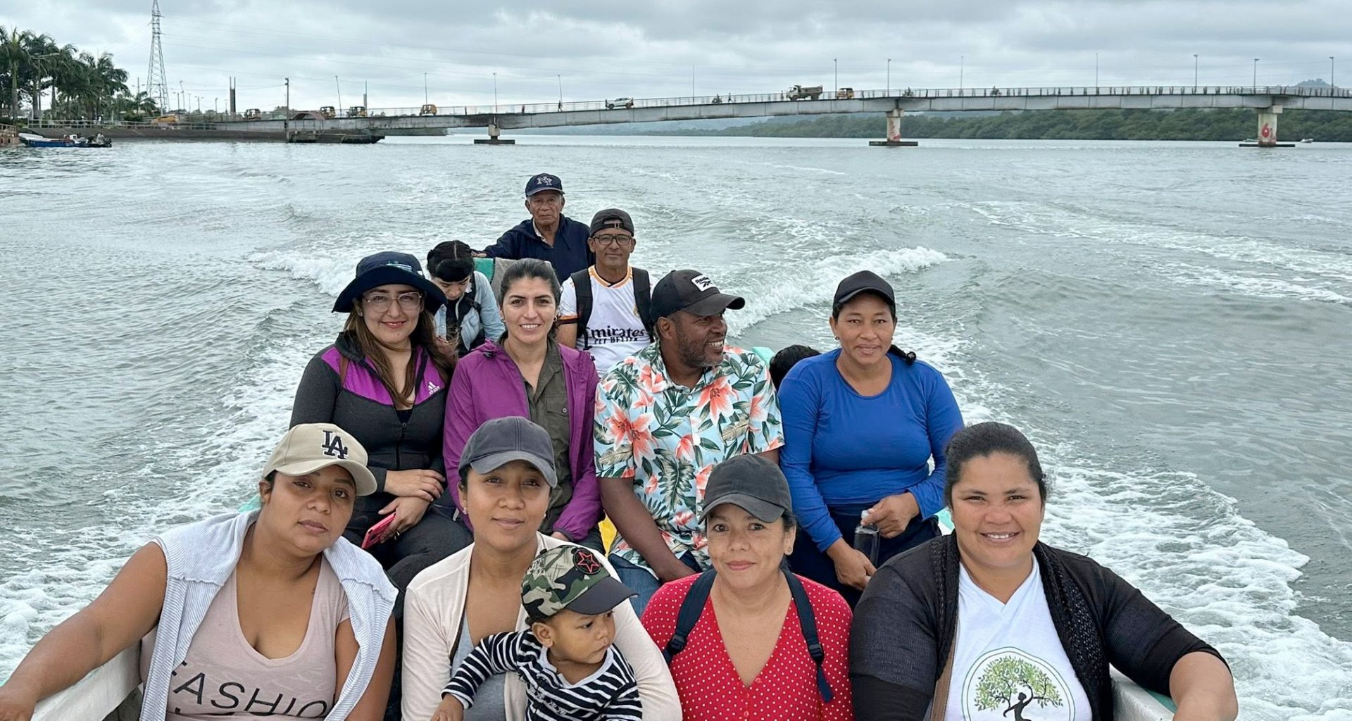 Rhizomes of life Rhizomes of life