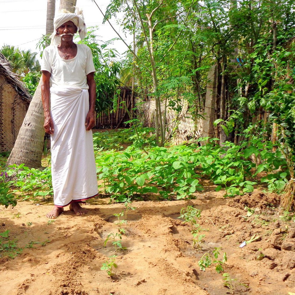 OMCAR-farm OMCAR-farm