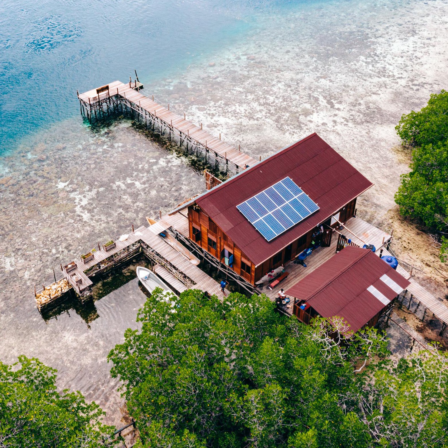 Indonesia: Escuela Medioambiental de Child Aid Papúa