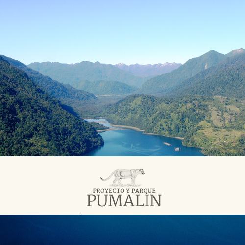 Fundacíon Pumalin Fundacíon Pumalin